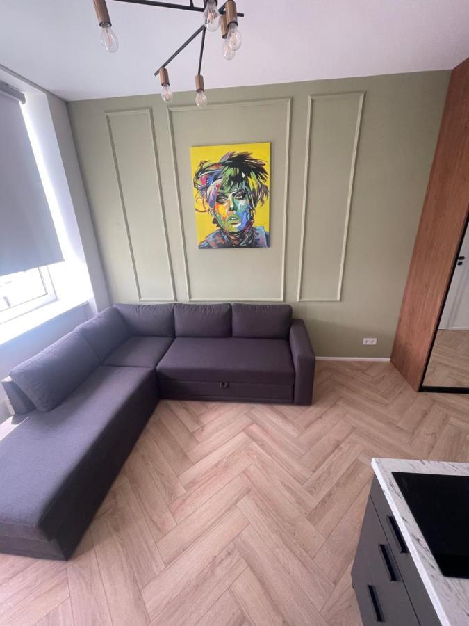 Airport Apartment 14 Self Check-In Free Parking 维尔纽斯 外观 照片
